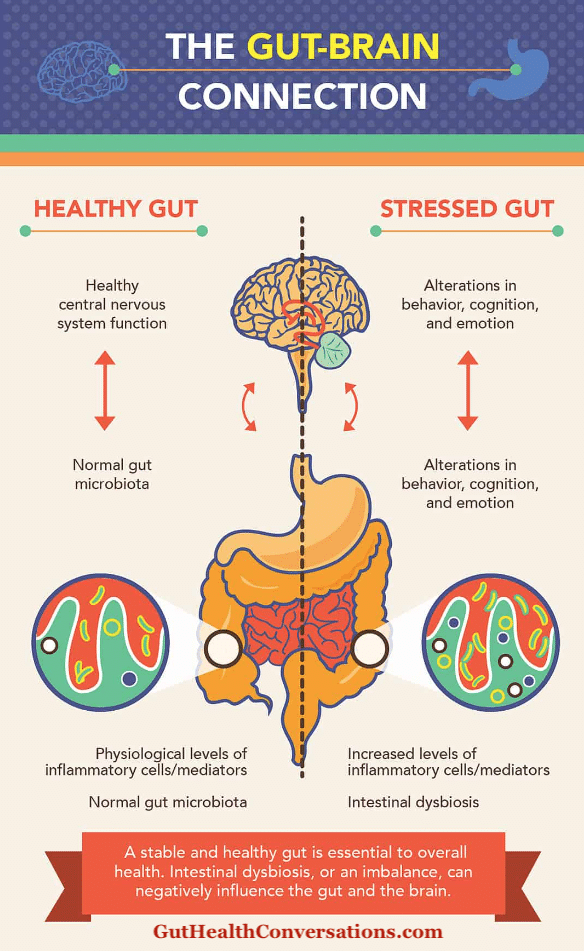 GUT-BRAIN CONNECTION