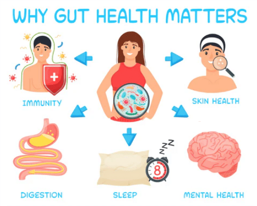 GUT HEALTH MATTERS Alex Moody's GutHealthConversations.com