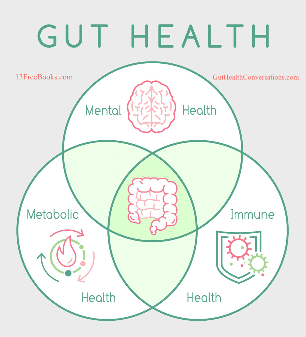 GUT HEALTH - MICROBIOME LIVING