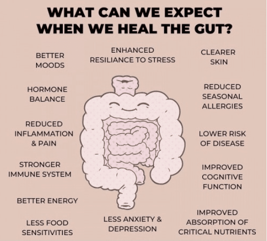 HEALING OUR GUT Alex Moody's GutHealthConversations.com