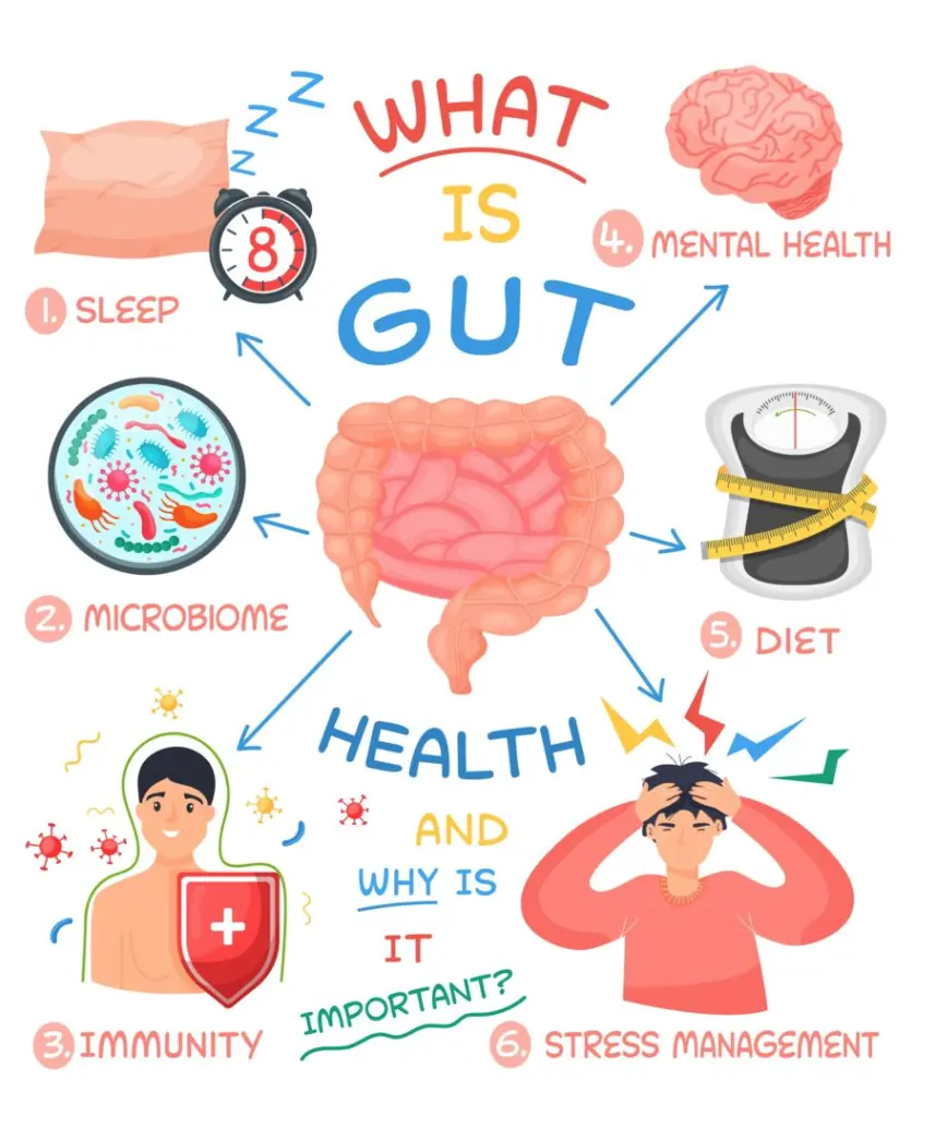 what-is-microbiome-gut-health-with-lovebiomep84.com_ Alex Moody's GutHealthConversations.com